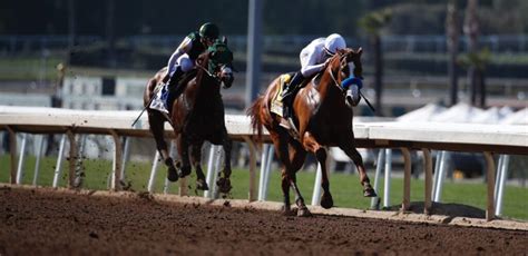 Caesars Racebook Promo Code THELINESRACE for $200 Bonus.